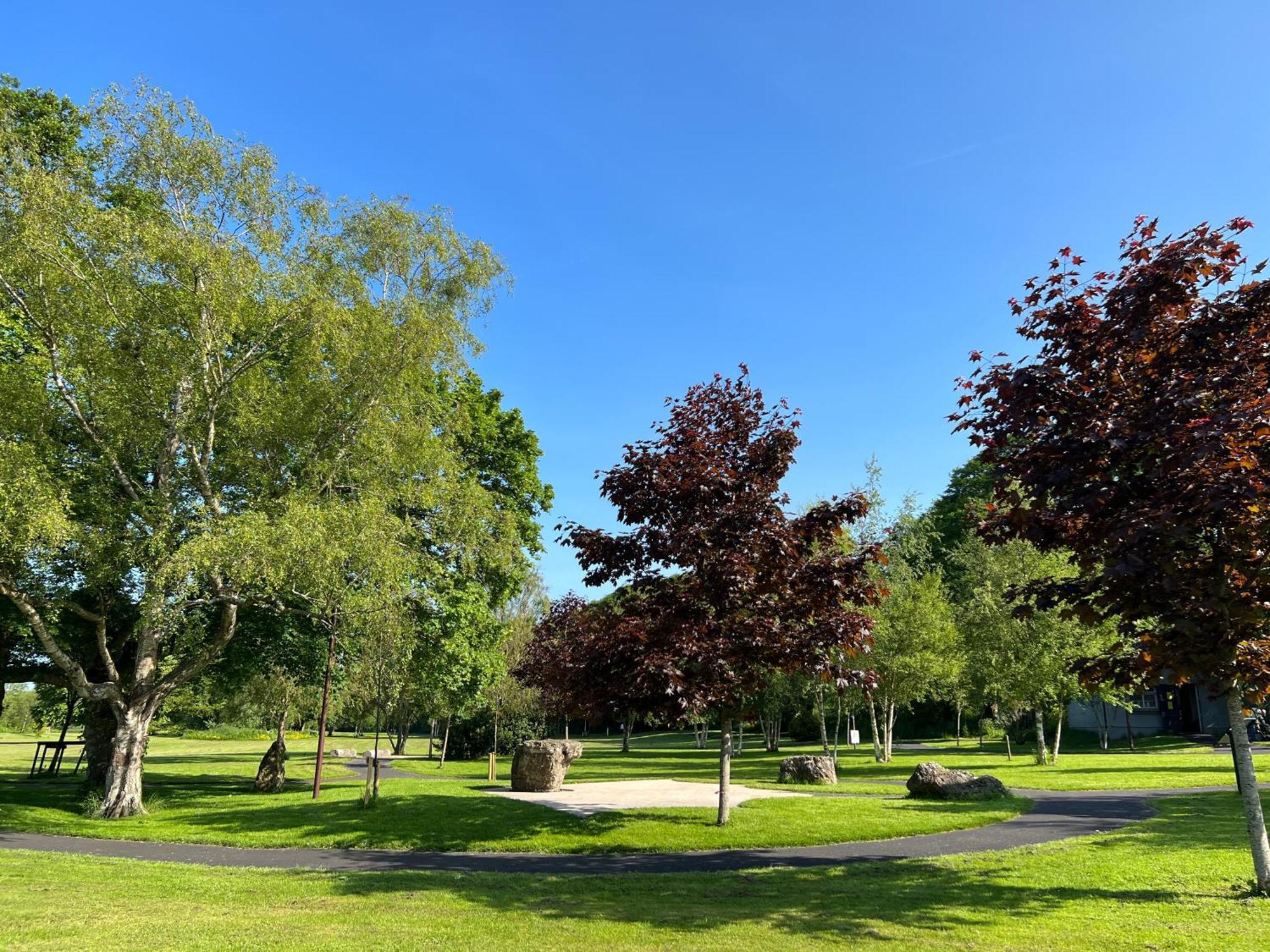 'Maigue View' By The River Croom Exterior photo